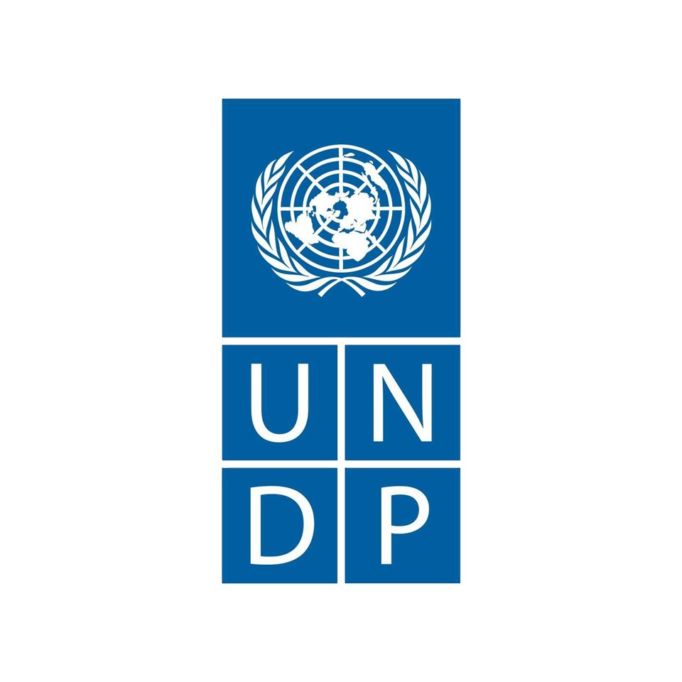 UNDP logo